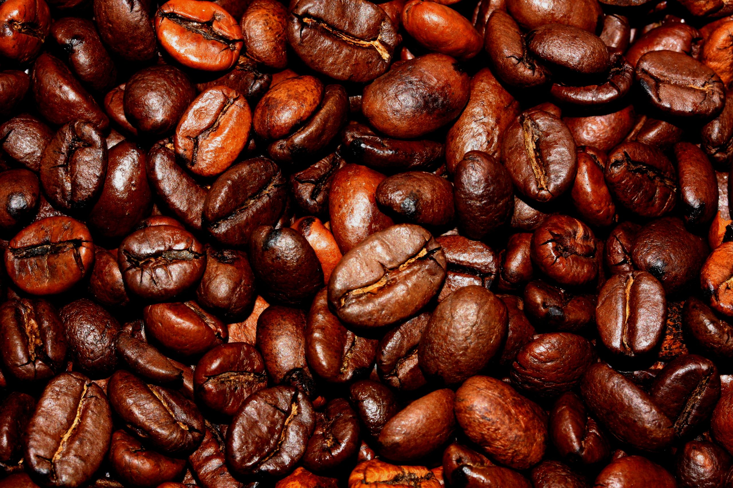Coffee Varieties across the Caribbean